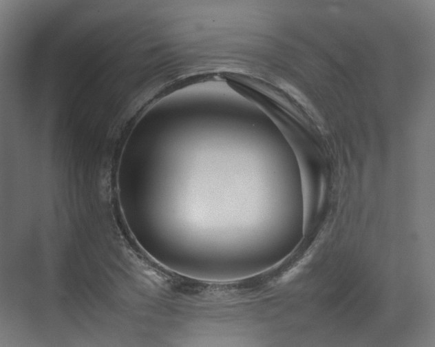 X0000074950977200609011116