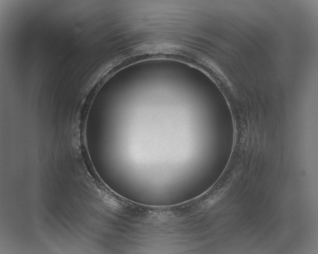 X0000074950978200609011116