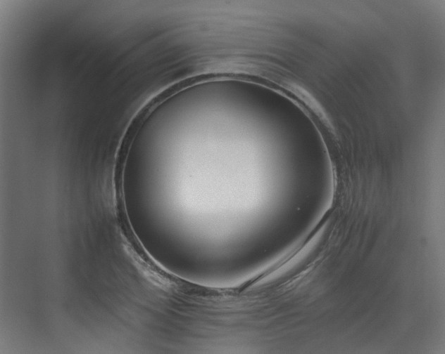 X0000074950980200609011116