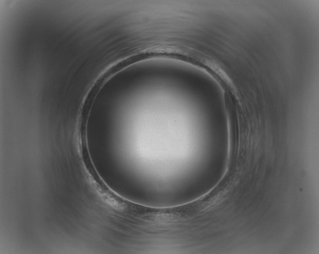X0000074950984200609011116