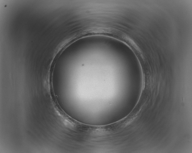X0000074950986200609011116