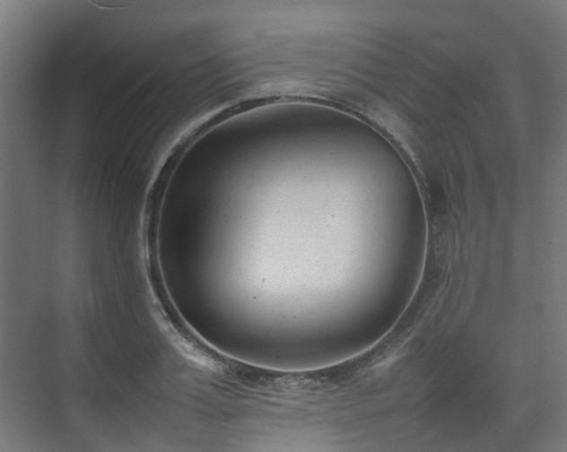 X0000074950987200609011116