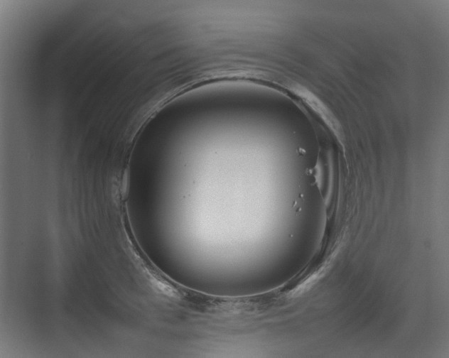 X0000074950993200609011116