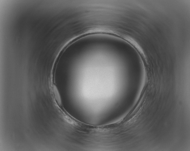X0000074950996200609011116