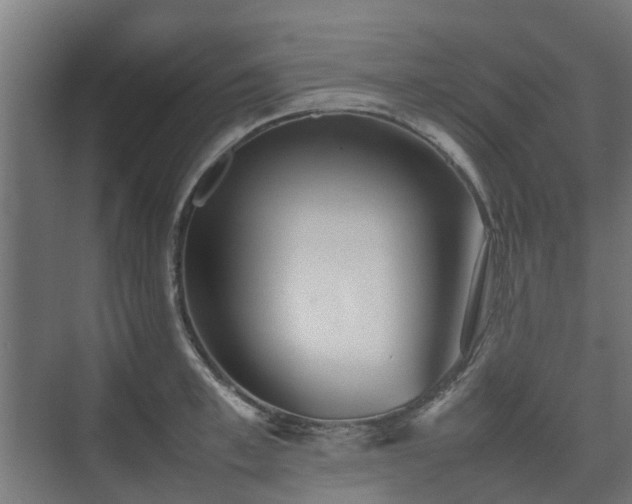 X0000074950997200609011116