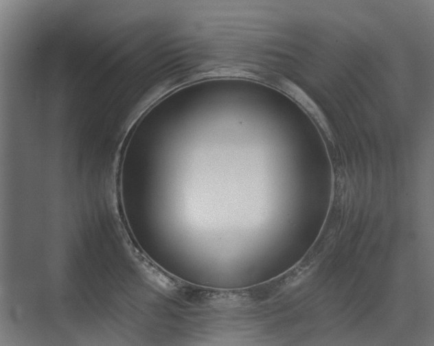X0000074951002200609011116