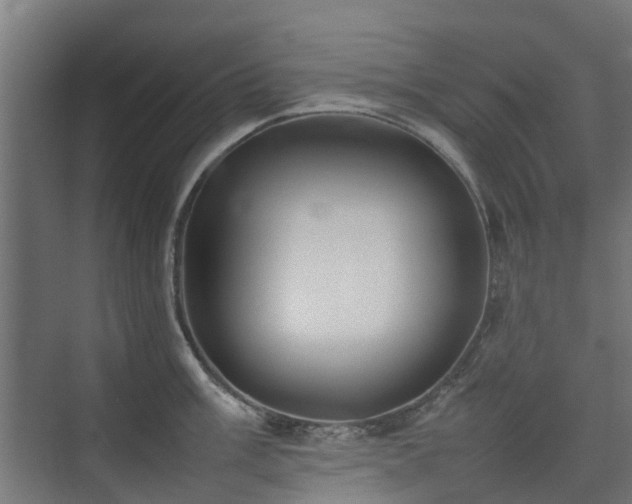 X0000074951003200609011116