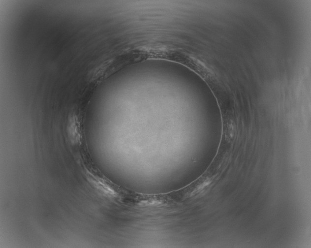 X0000074951010200609011115