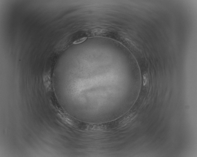 X0000074951011200609011115