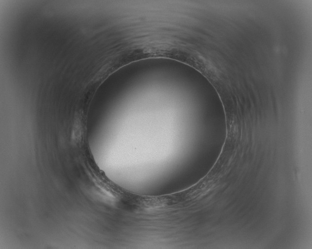 X0000074951012200609011115