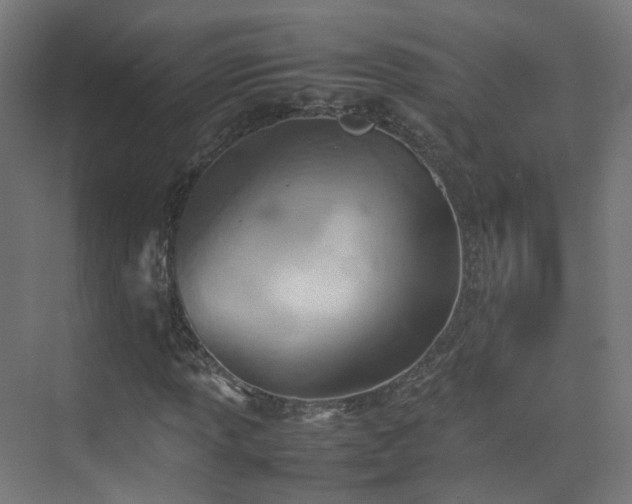 X0000074951013200609011115