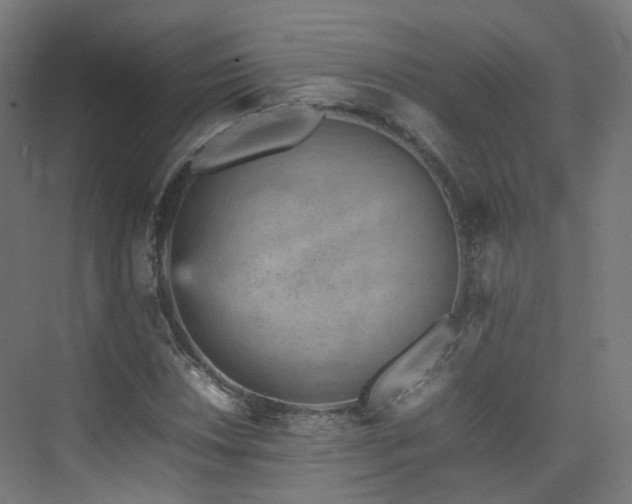 X0000074951018200609011115