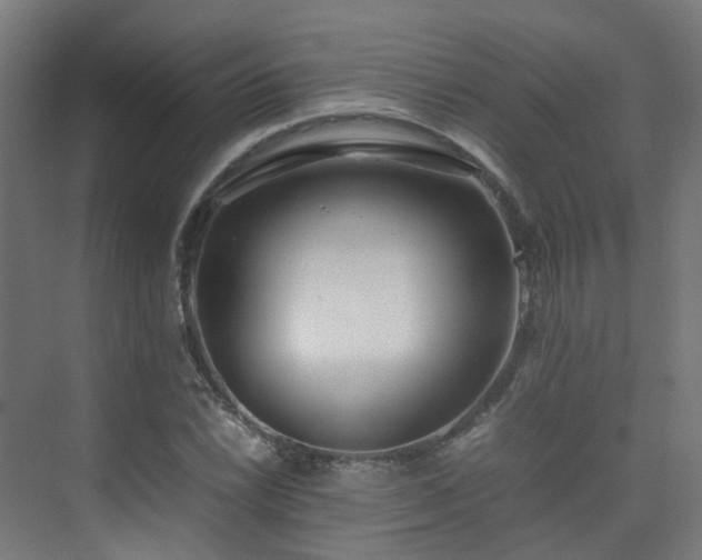 X0000074951022200609011115