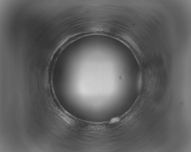 X0000074951023200609011115