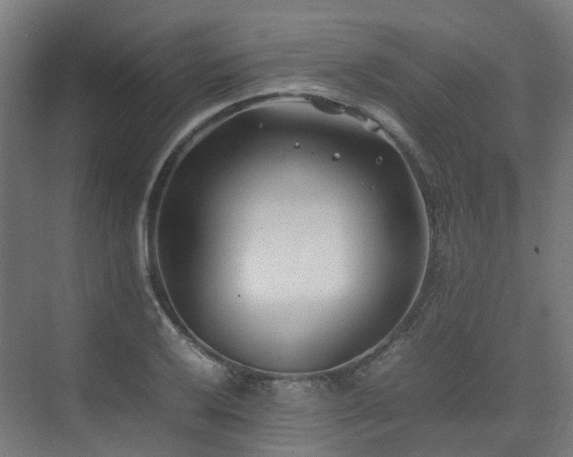 X0000074951032200609011115