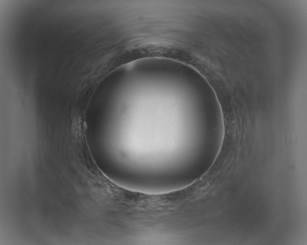 X0000074951061200609011115