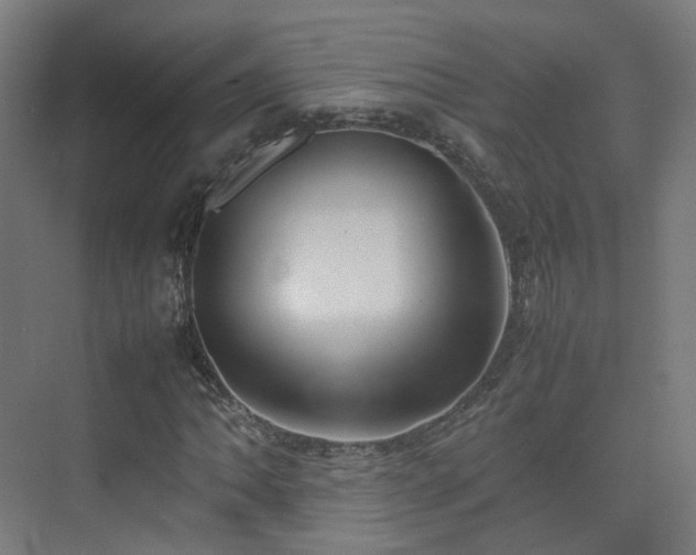 X0000074951062200609011115