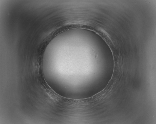 X0000074951064200609011114