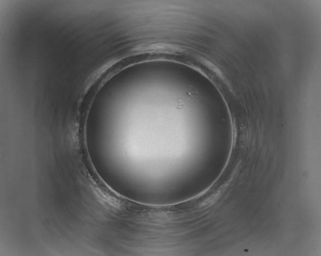X0000074951066200609011114