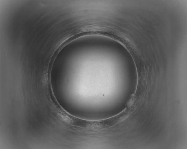 X0000074951073200609011114