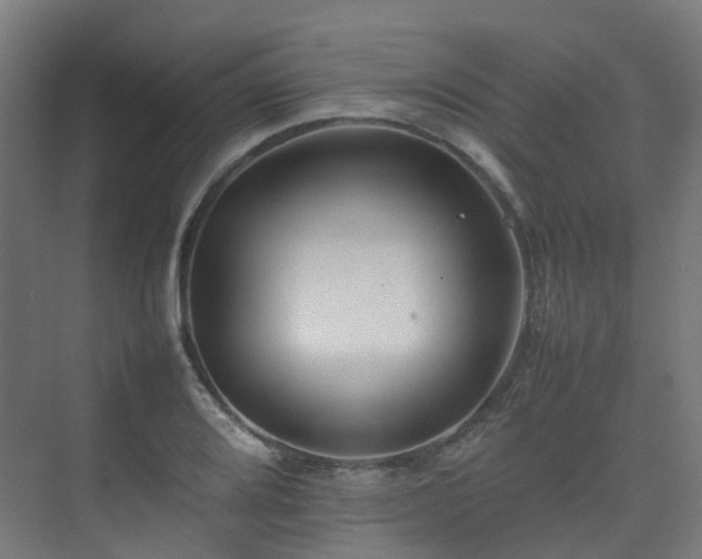 X0000074951080200609011114