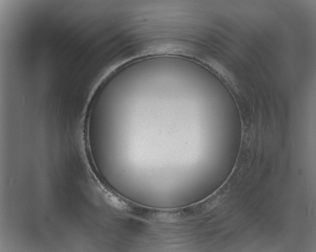 X0000074951086200609011114