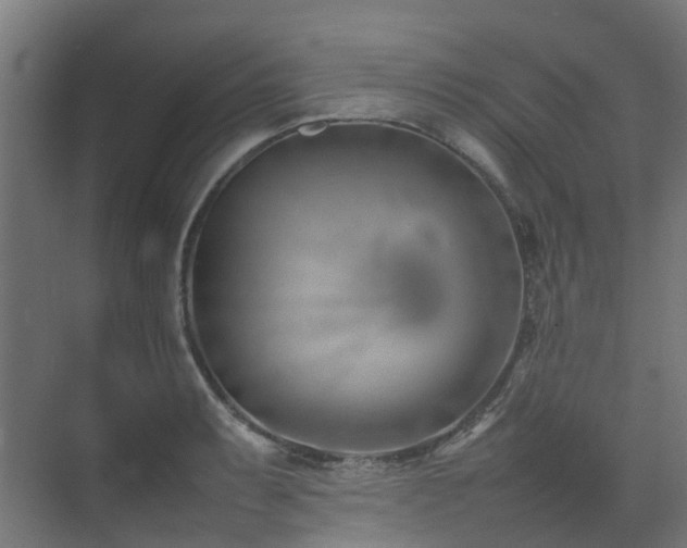 X0000074951087200609011114