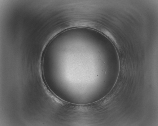 X0000074951088200609011114