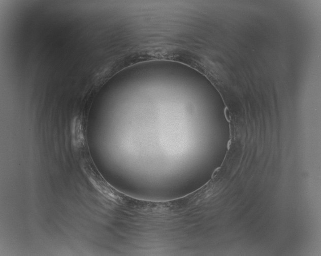 X0000074951106200609011113
