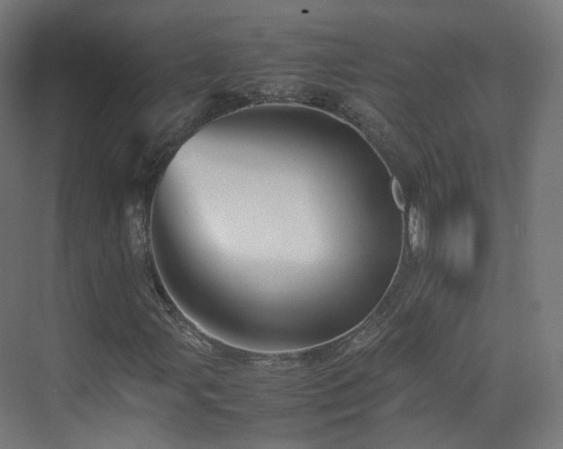 X0000074951107200609011113