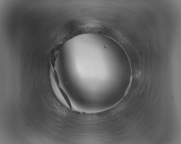 X0000074951108200609011113