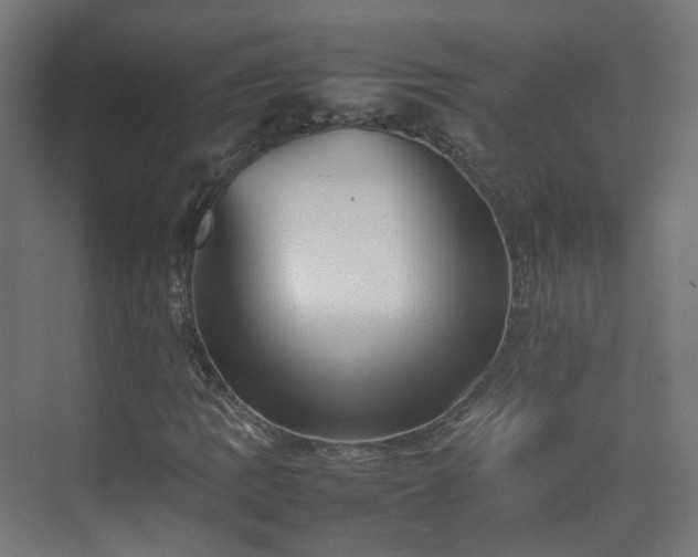 X0000074951109200609011113
