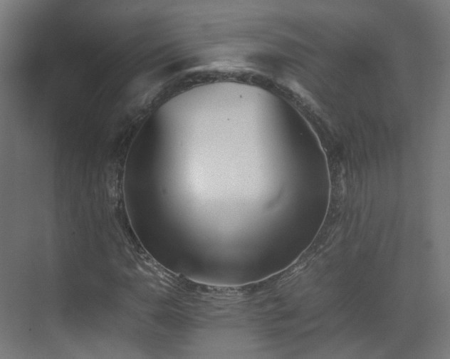 X0000074951110200609011113