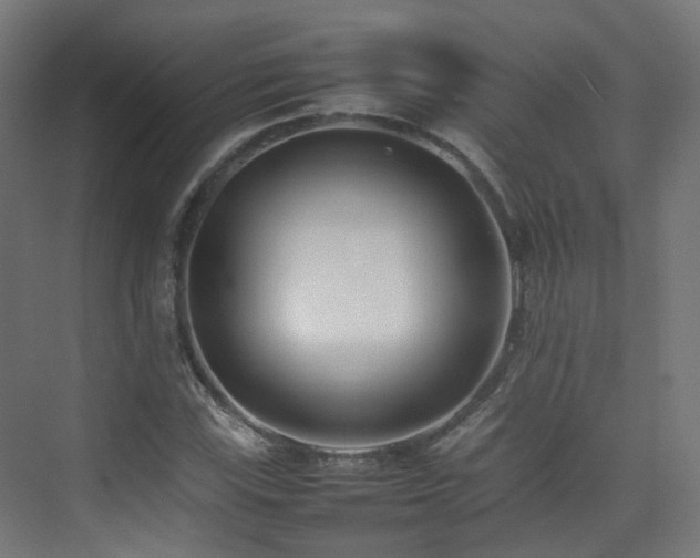 X0000074951115200609011113
