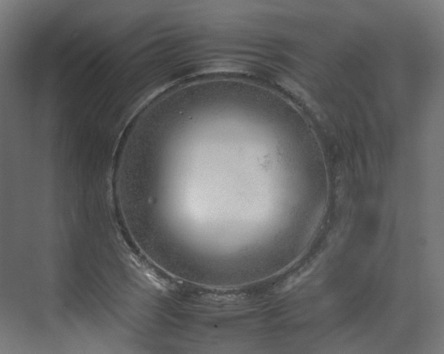 X0000074951121200609011113
