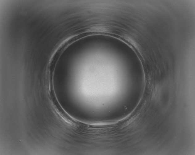 X0000074951123200609011113