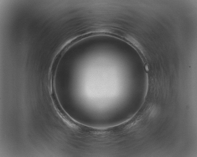 X0000074951127200609011113