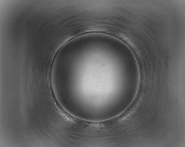 X0000074951137200609011114