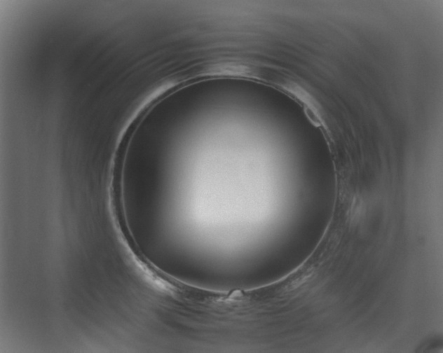 X0000074951139200609011114