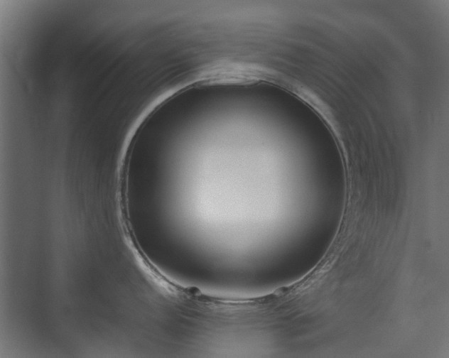 X0000074951152200609011114
