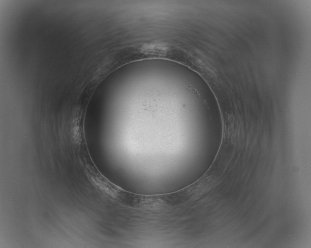 X0000074951154200609011113