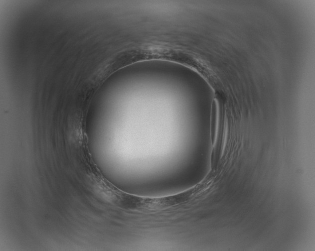 X0000074951155200609011113
