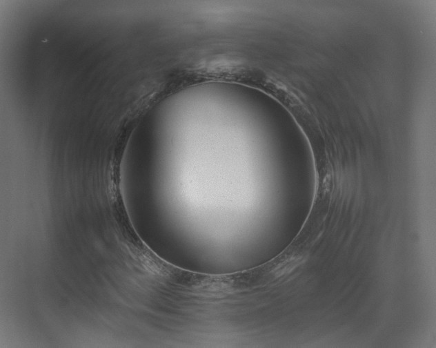 X0000074951156200609011113