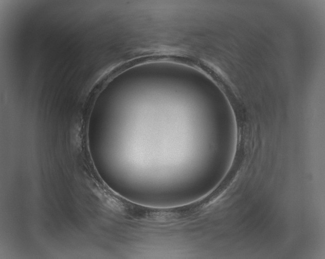 X0000074951163200609011113