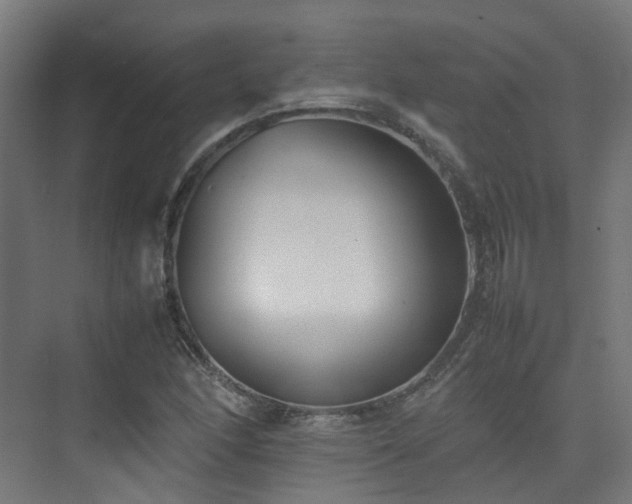 X0000074951166200609011113