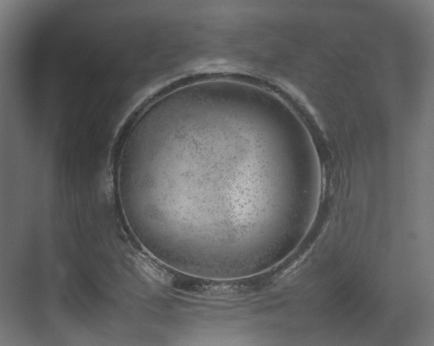 X0000074951167200609011113
