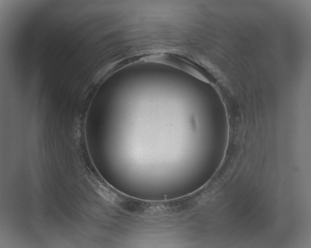 X0000074951169200609011113