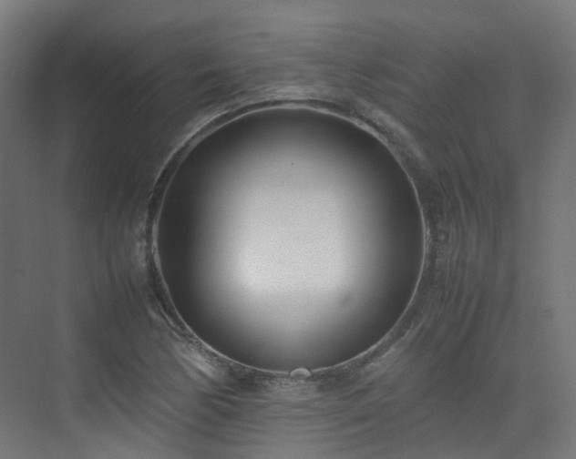 X0000074951170200609011113