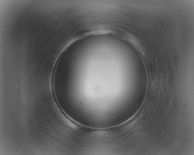 X0000074951186200609011112