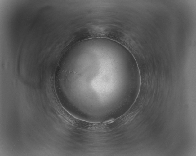 X0000074951201200609011111